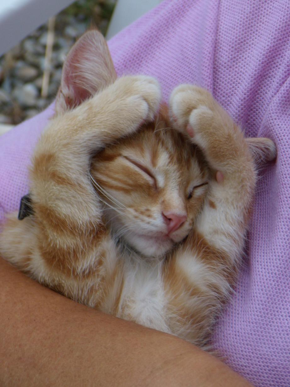 ...ma la volete abbassare ''sta musica?????????